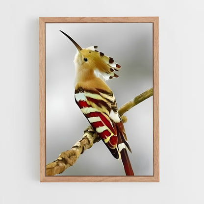 ap-hoopoe-7 cadre Bois clair