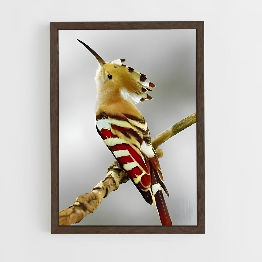 ap-hoopoe-7 cadre Bois foncé
