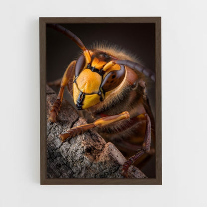 ap-hornet-9 cadre Bois foncé