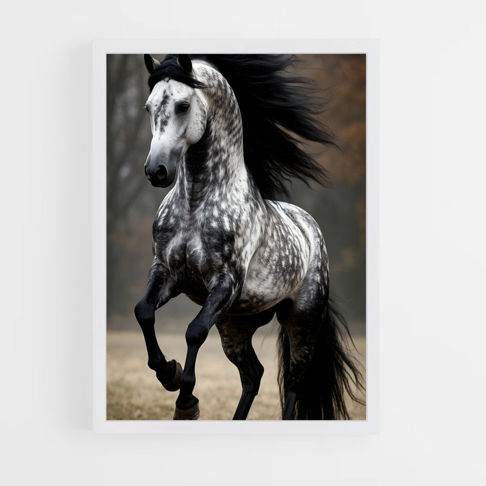 ap-horse-10 cadre Blanc