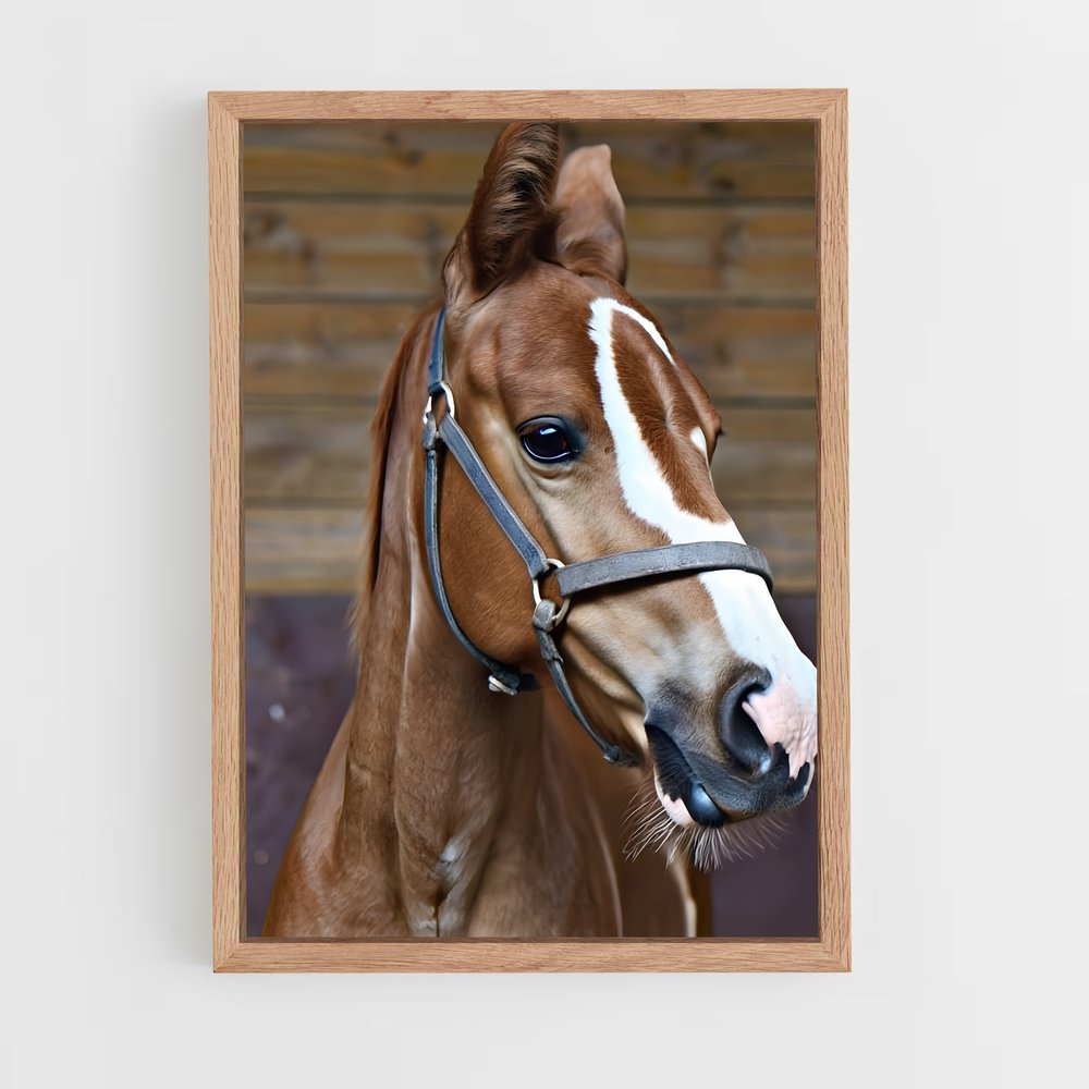 ap-horse-14 cadre Bois clair