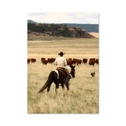 Poster L'Écho des Prairies