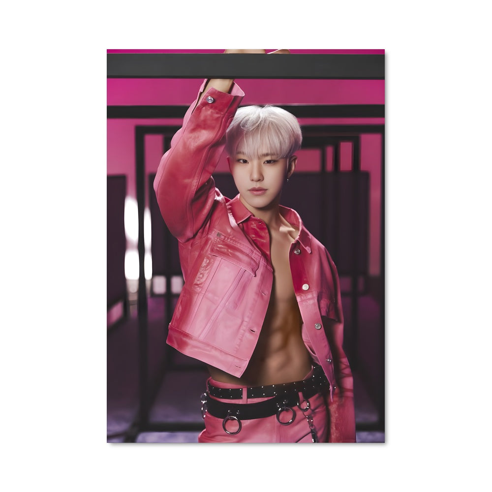 Poster Hoshi 49315