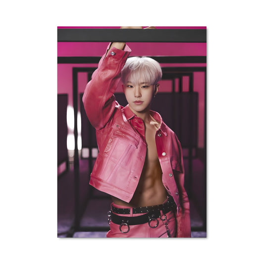 Poster Hoshi 49315