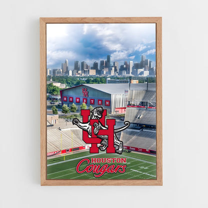 ap-houston cougars-1 cadre Bois clair