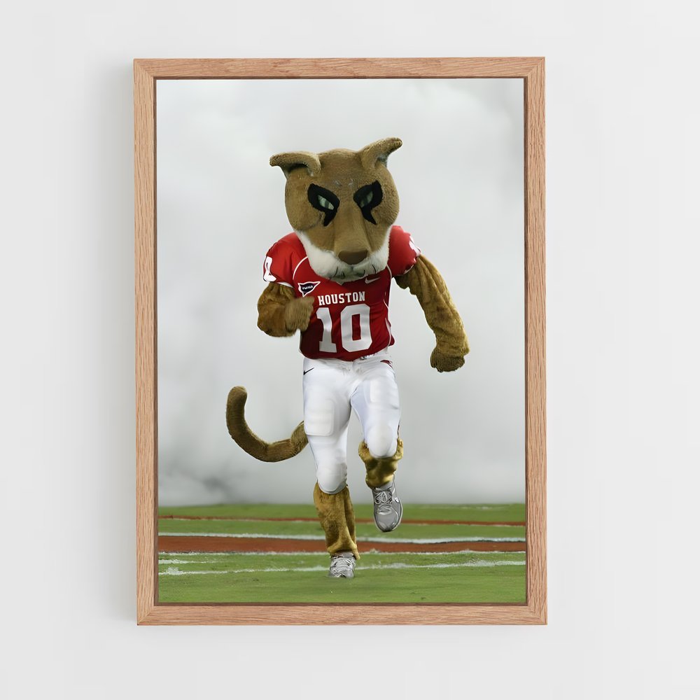 ap-houston cougars-2 cadre Bois clair
