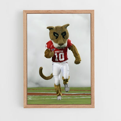 ap-houston cougars-2 cadre Bois clair