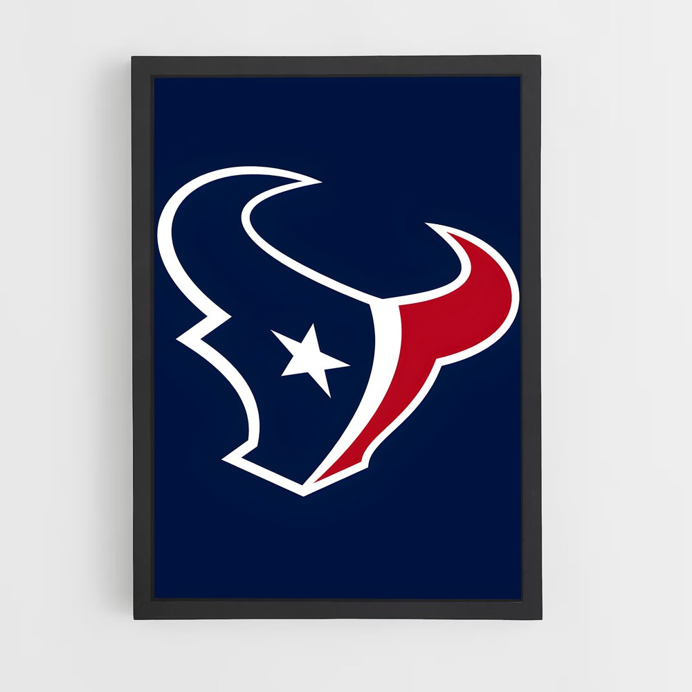 ap-houston texans-1 cadre Noir