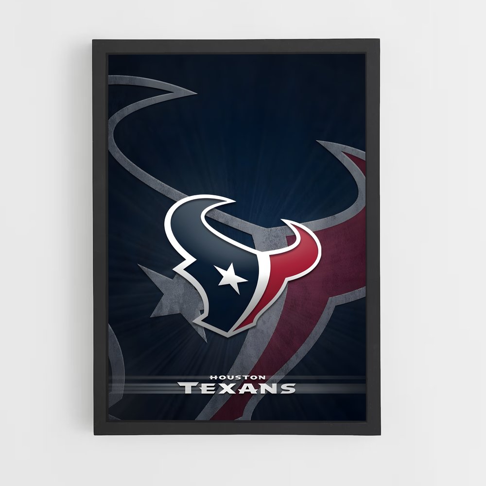 ap-houston texans-3 cadre Noir