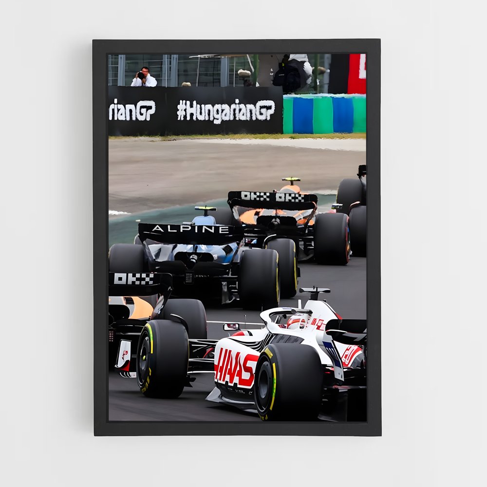 ap-hungarian grand prix-1 cadre Noir