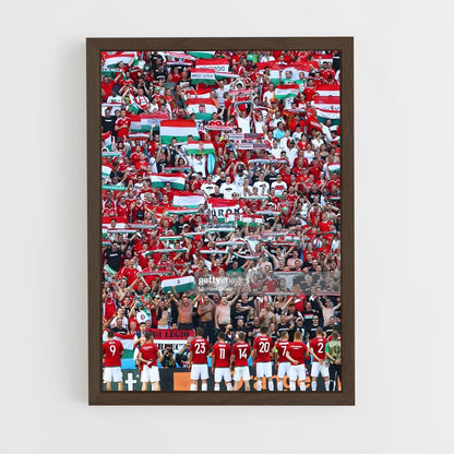 ap-hungary national football team-1 cadre Bois foncé