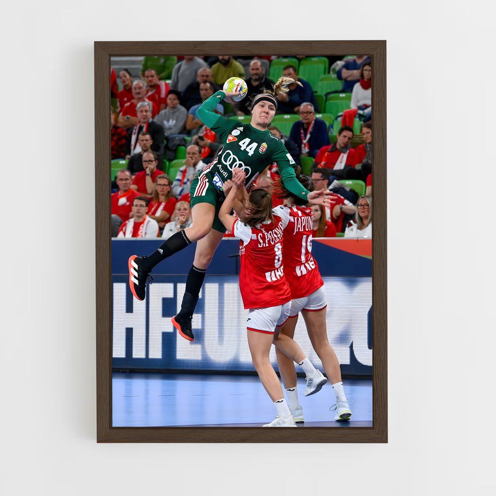 ap-hungary national handball team-1 cadre Bois foncé