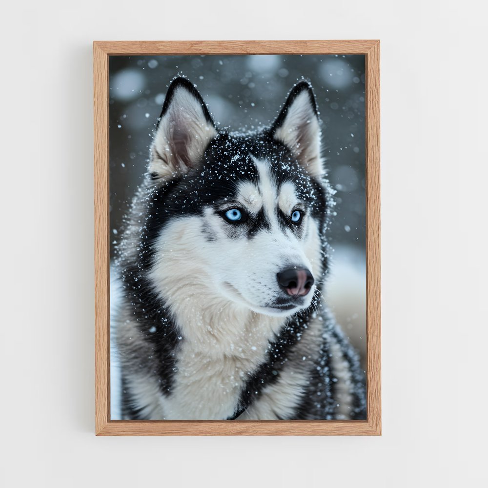 ap-husky-2 cadre Bois clair