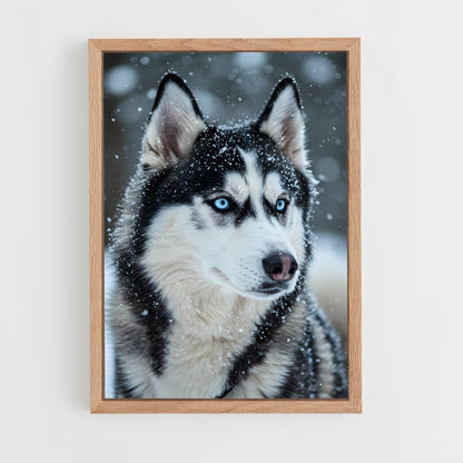ap-husky-2 cadre Bois clair