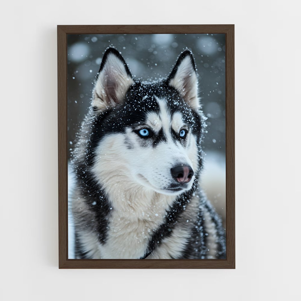 ap-husky-2 cadre Bois foncé