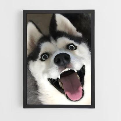 ap-husky-3 cadre Noir