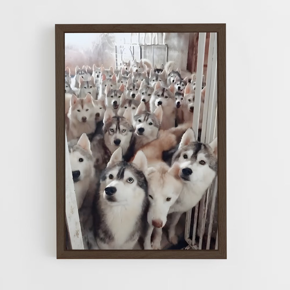 ap-husky-4 cadre Bois foncé