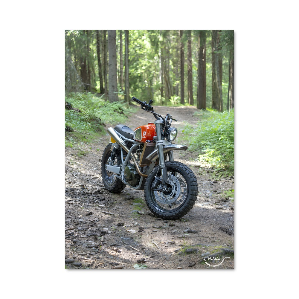 Poster Aventure Nature