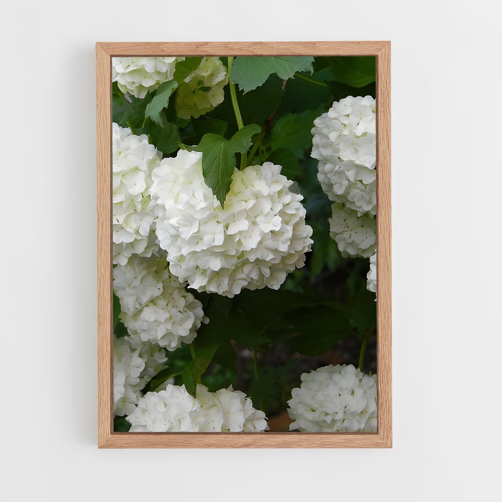 ap-hydrangea-11 cadre Bois clair