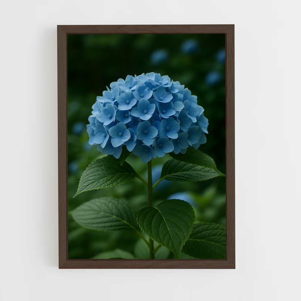 ap-hydrangea-7 cadre Bois foncé