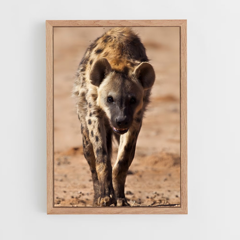 ap-hyena-1 cadre Bois clair