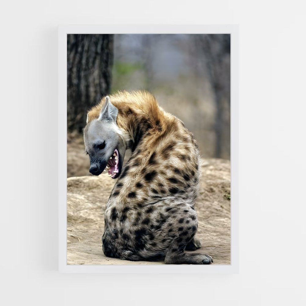 ap-hyena-2 cadre Blanc