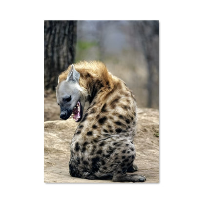 Poster Hyena Hypnotique