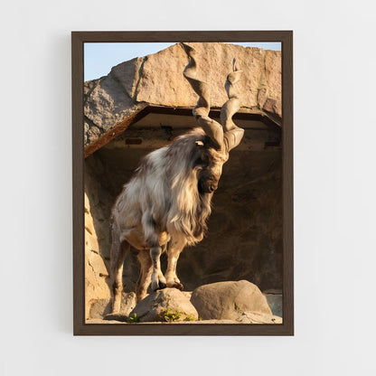 ap-ibex-7 cadre Bois foncé