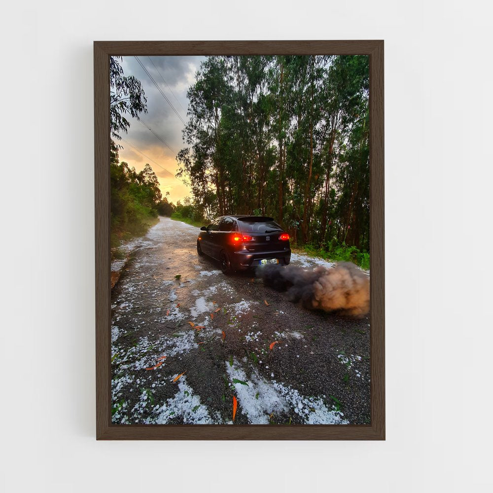 ap-ibiza cupra-2 cadre Bois foncé