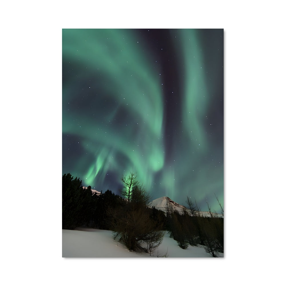 Poster Iceland aurora 94355