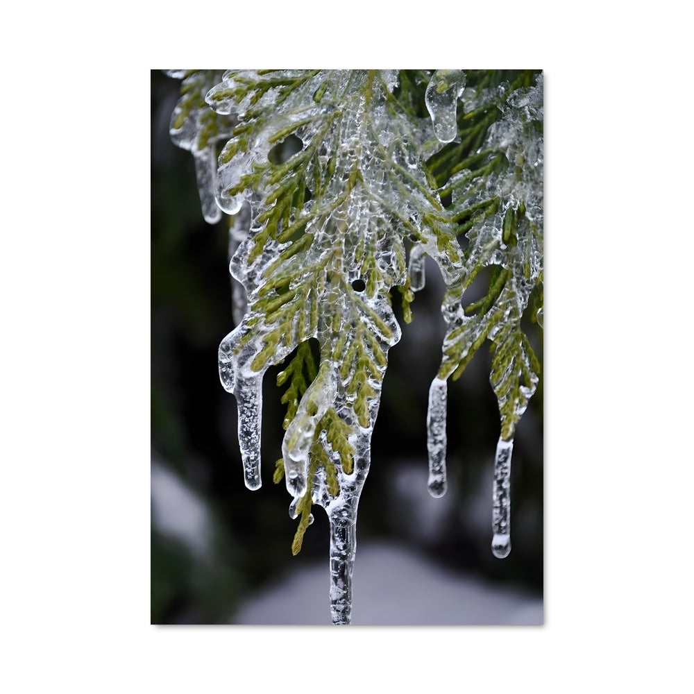 Poster Givre Enchanté