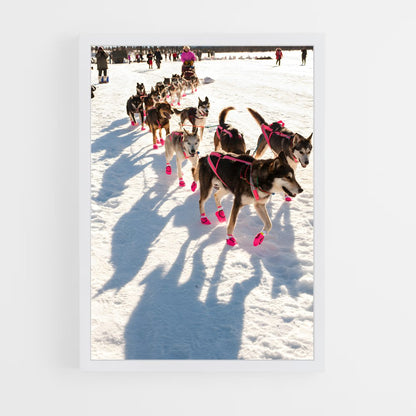 ap-iditarod-3 cadre Blanc