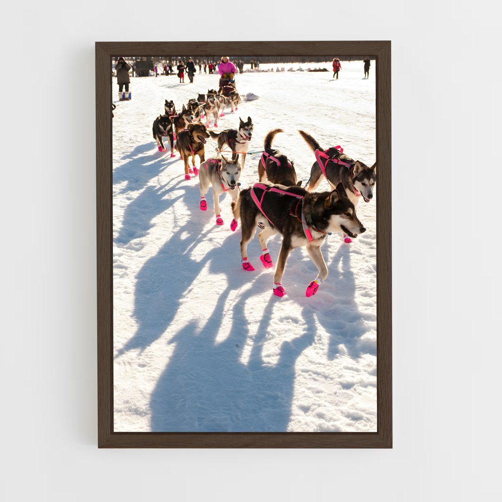 ap-iditarod-3 cadre Bois foncé