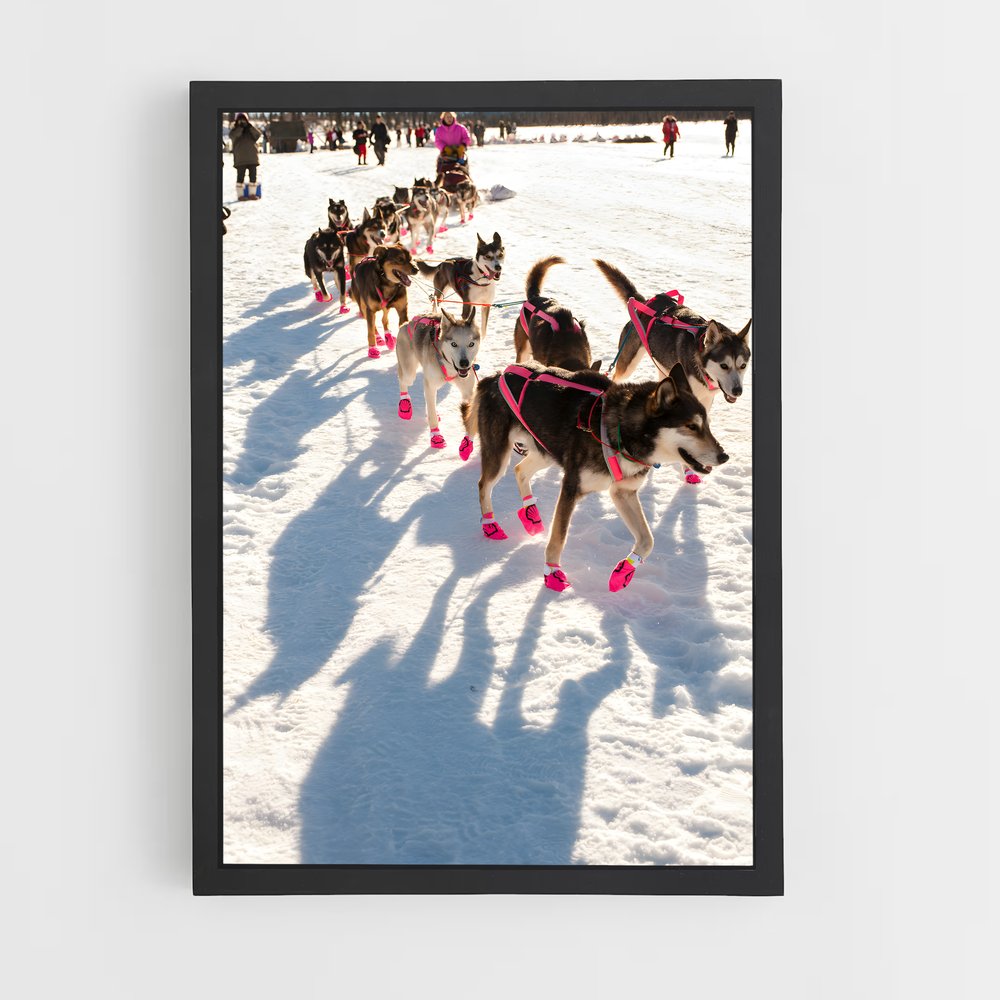ap-iditarod-3 cadre Noir
