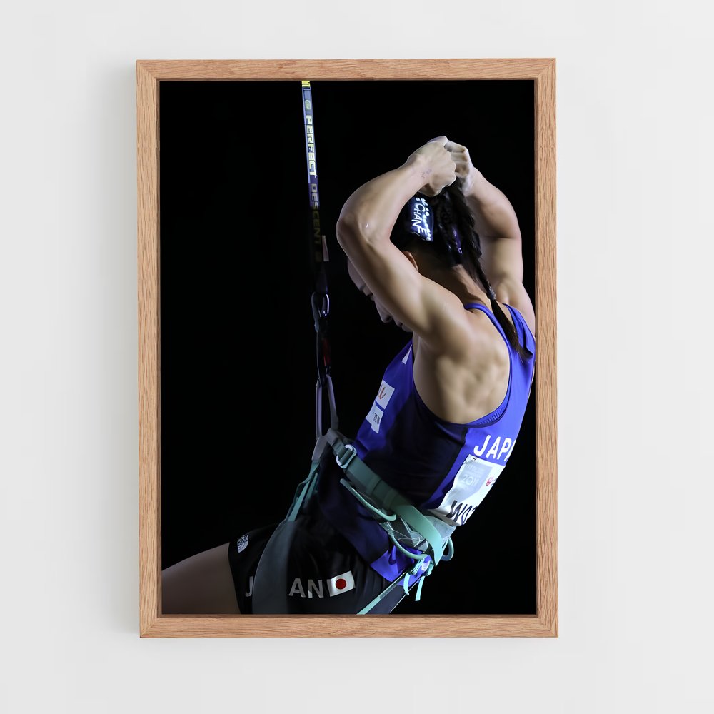 ap-ifsc world championships-3 cadre Bois clair