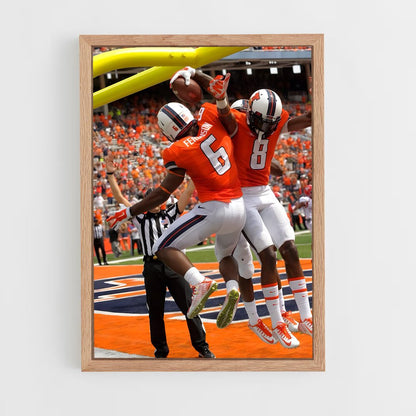 ap-illinois fighting illini-1 cadre Bois clair