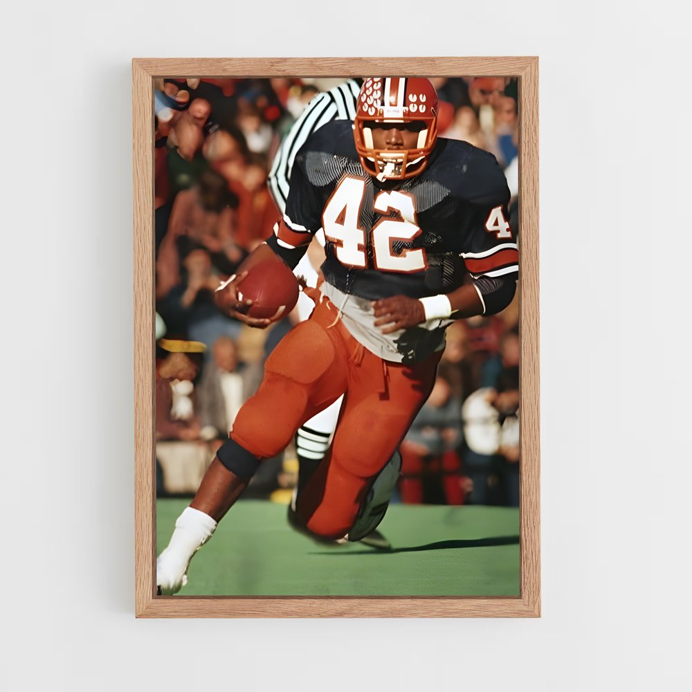 ap-illinois fighting illini-2 cadre Bois clair