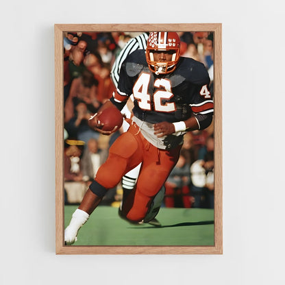 ap-illinois fighting illini-2 cadre Bois clair