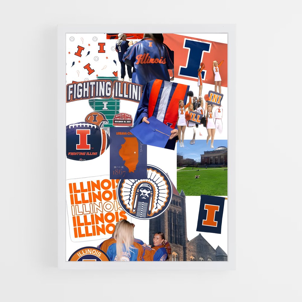 ap-illinois fighting illini-6 cadre Blanc