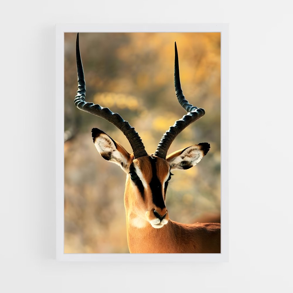 ap-impala-2 cadre Blanc