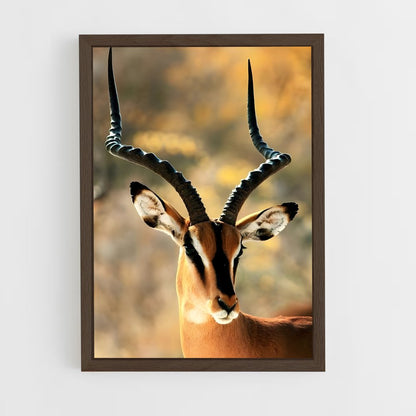 ap-impala-2 cadre Bois foncé