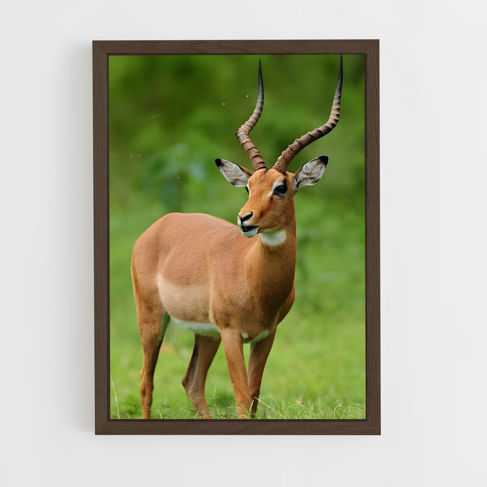 ap-impala-3 cadre Bois foncé
