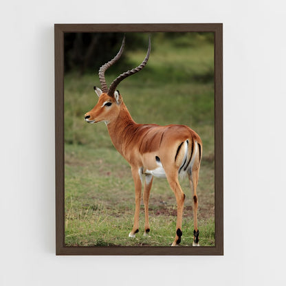 ap-impala-4 cadre Bois foncé