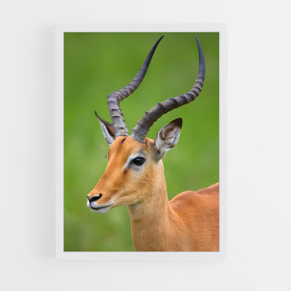 ap-impala-6 cadre Blanc