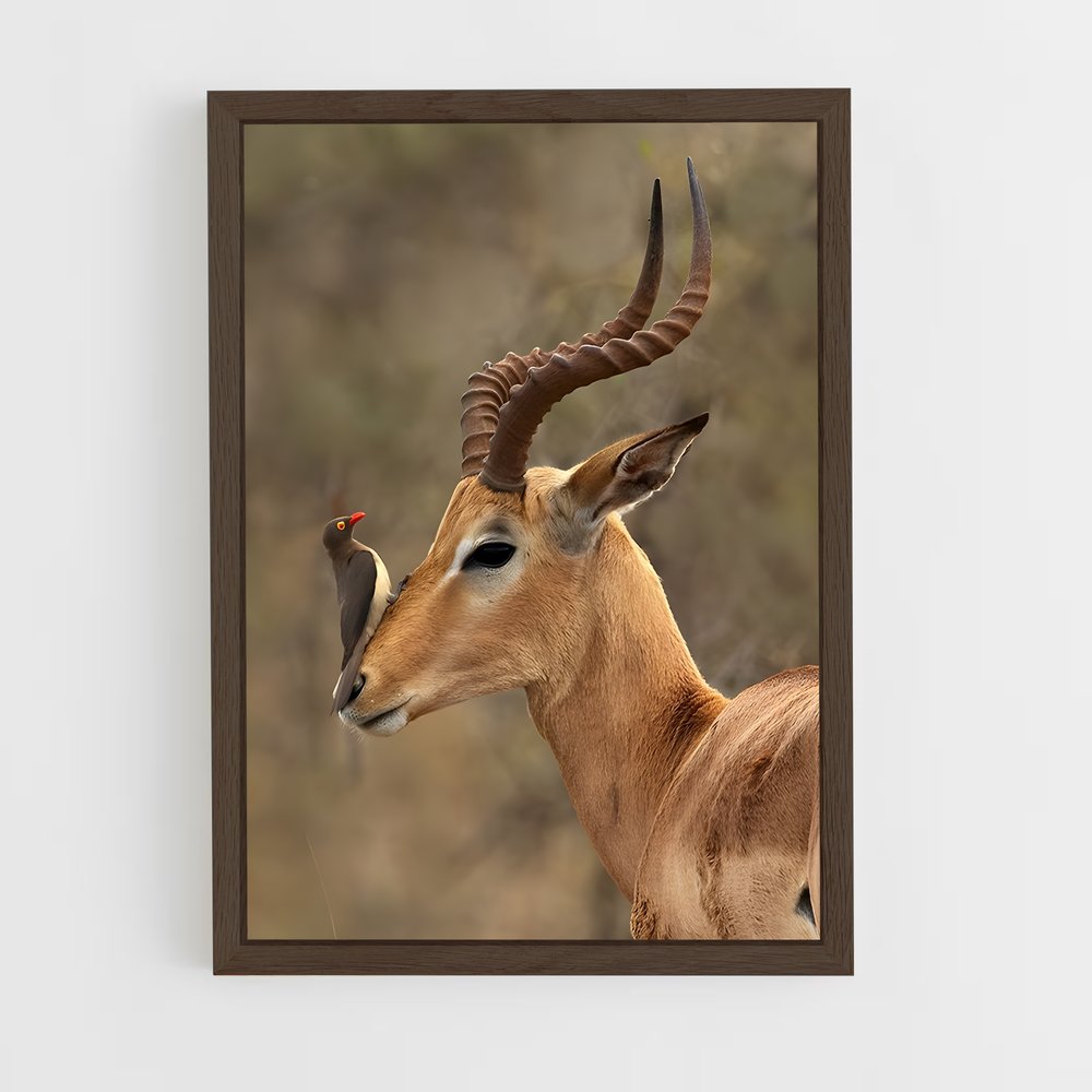 ap-impala-7 cadre Bois foncé