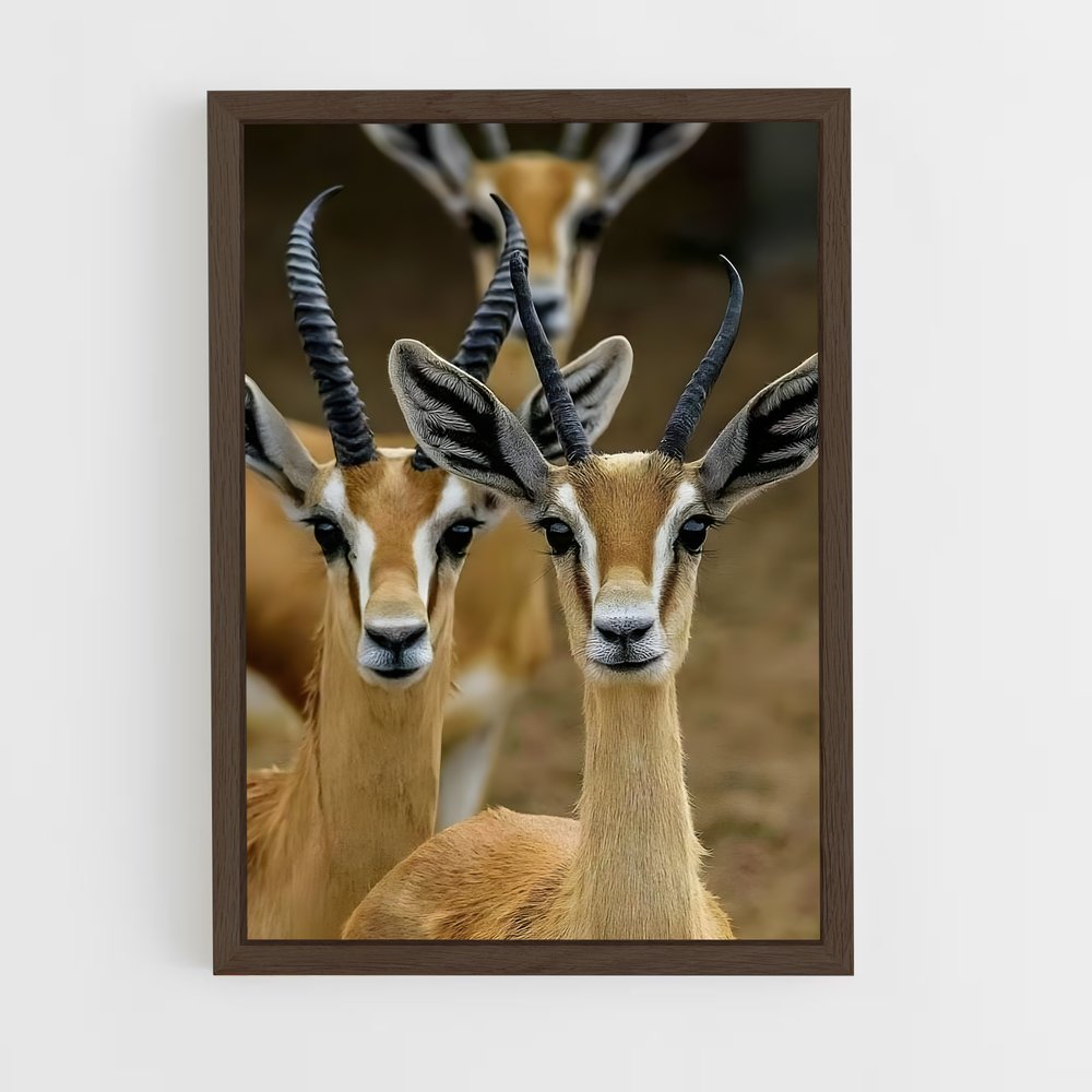 ap-impala-9 cadre Bois foncé