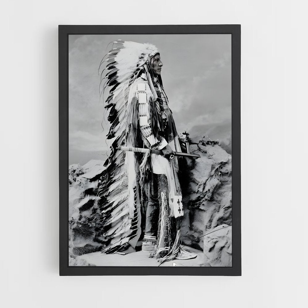 ap-indian chief-9 cadre Noir