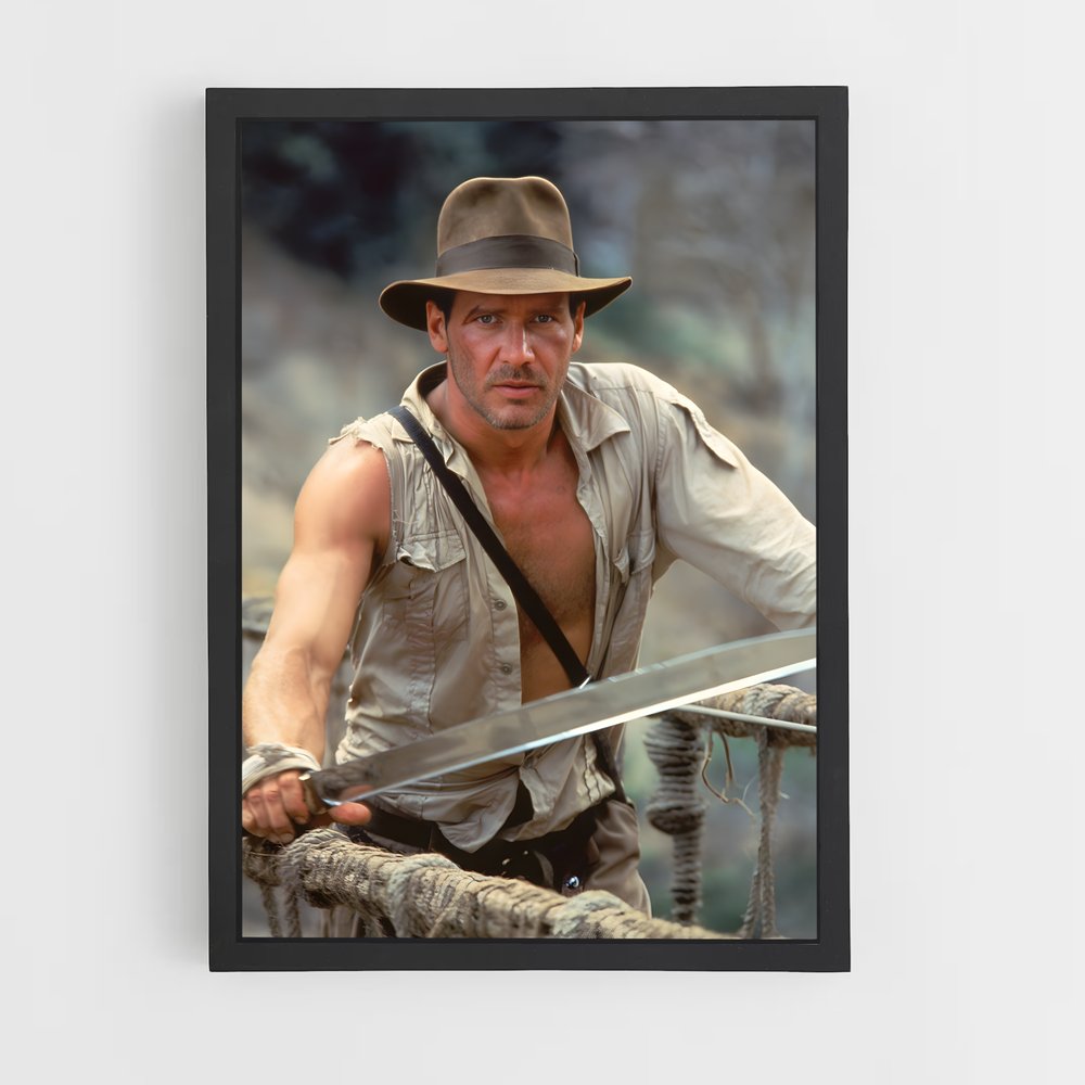 ap-indiana jones-8 cadre Noir