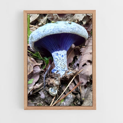 ap-indigo milk cap-1 cadre Bois clair