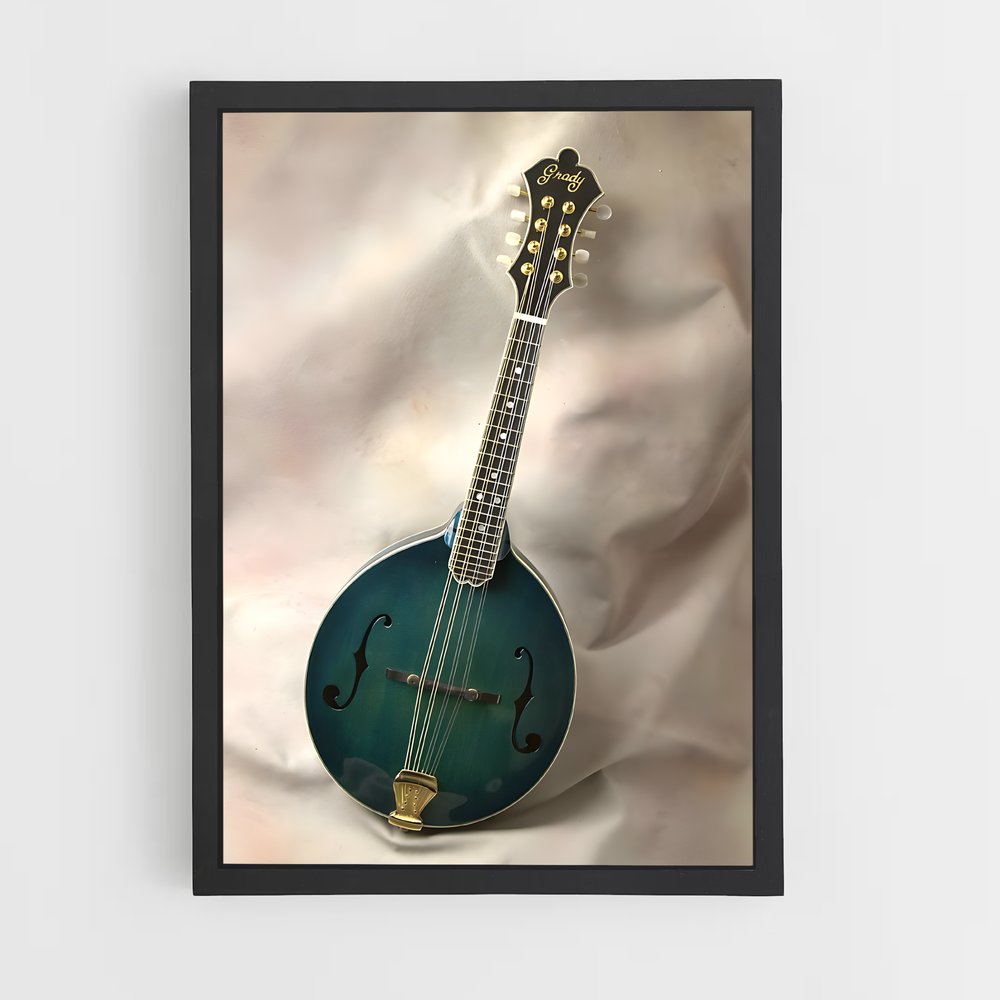 ap-instruments-6 cadre Noir